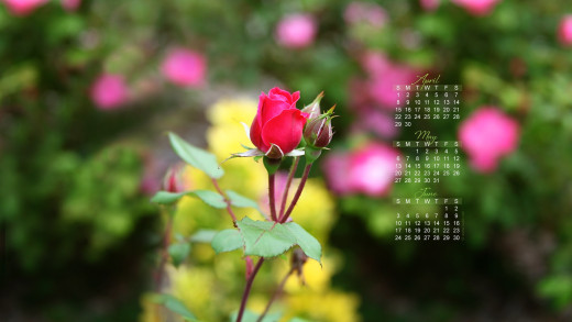 345303 (a): :1920x1080